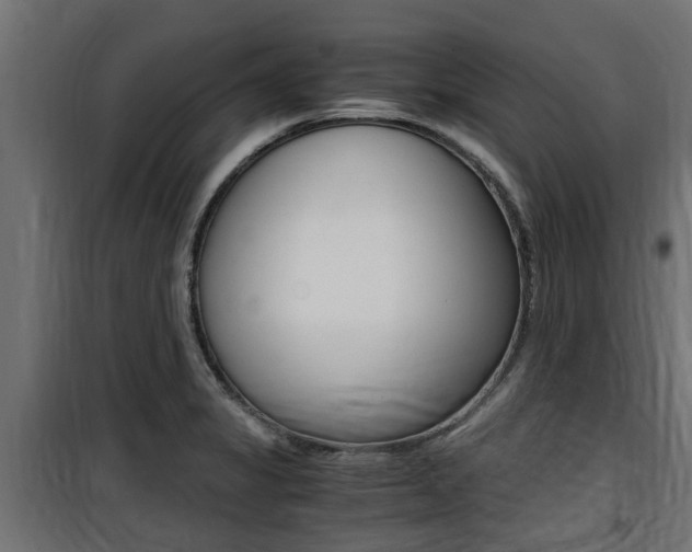 X0000100761325200806190900