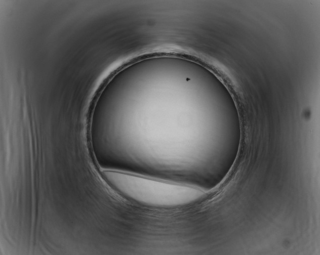 X0000100761326200806190900