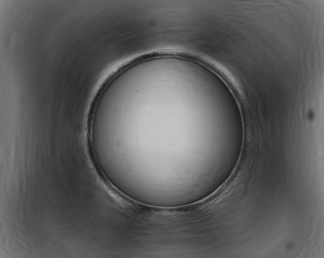X0000100761327200806190900