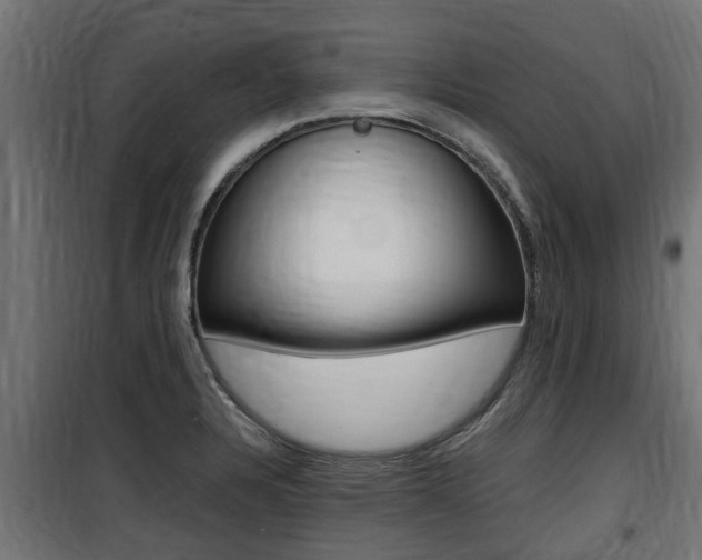 X0000100761328200806190900
