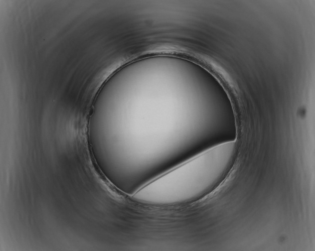 X0000100761329200806190900