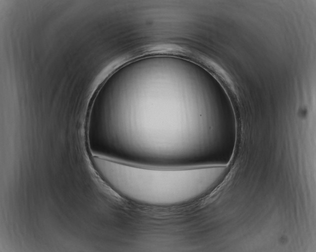 X0000100761330200806190900