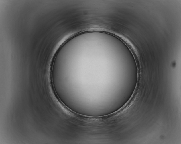 X0000100761333200806190900