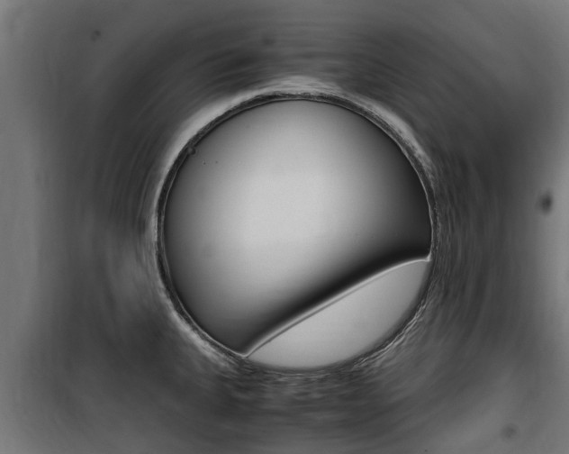 X0000100761335200806190900