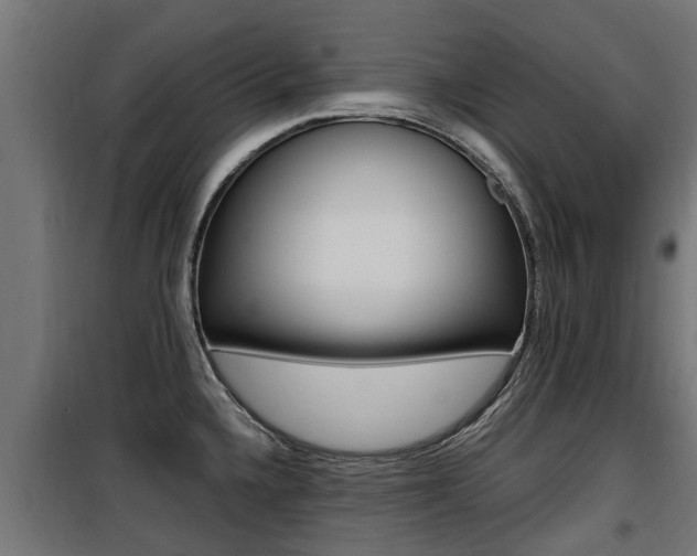 X0000100761336200806190900