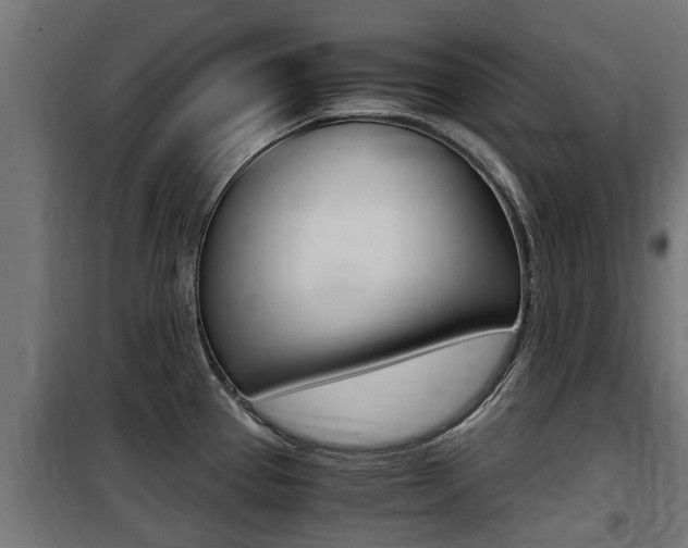 X0000100761337200806190900