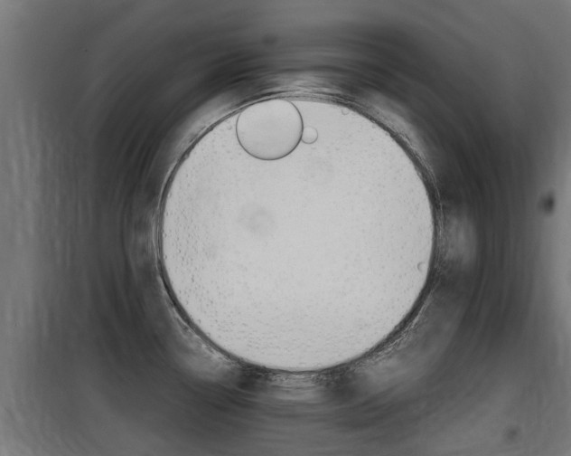 X0000100761338200806190900