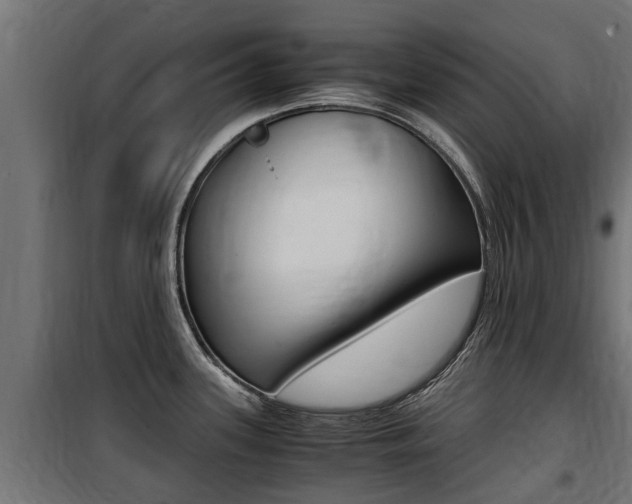 X0000100761339200806190900