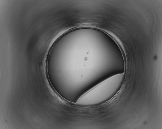X0000100761341200806190900