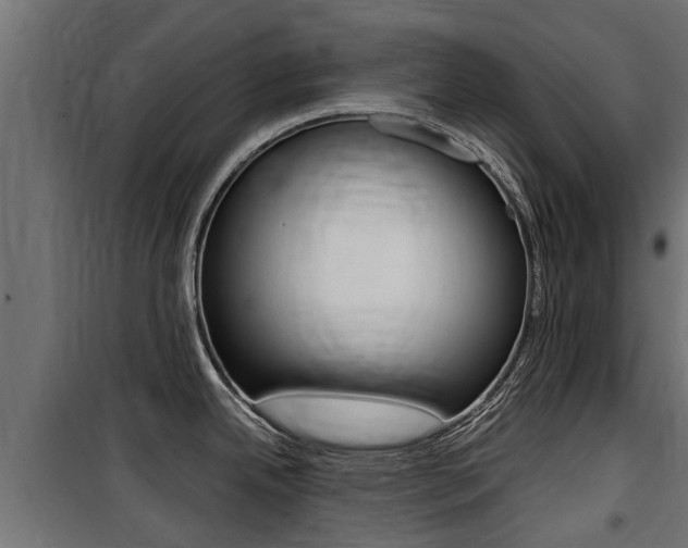 X0000100761342200806190900