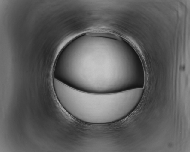 X0000100761344200806190900