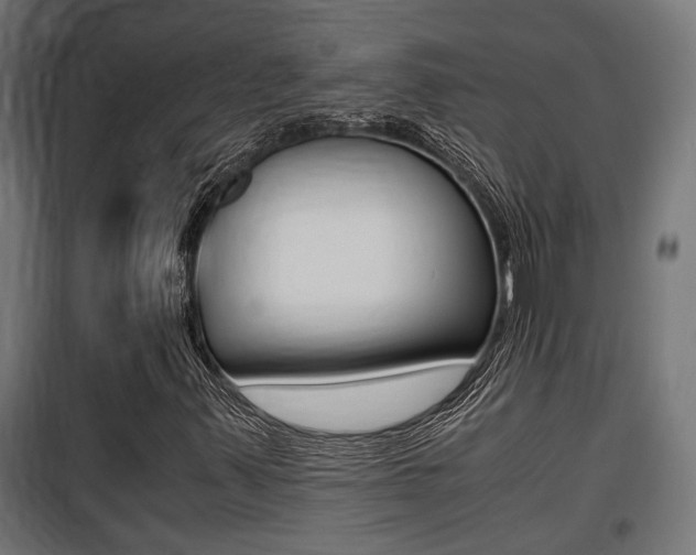 X0000100761347200806190859