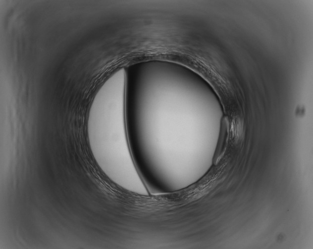 X0000100761348200806190859