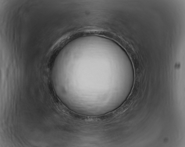 X0000100761351200806190859