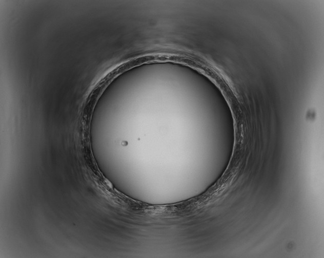 X0000100761352200806190859