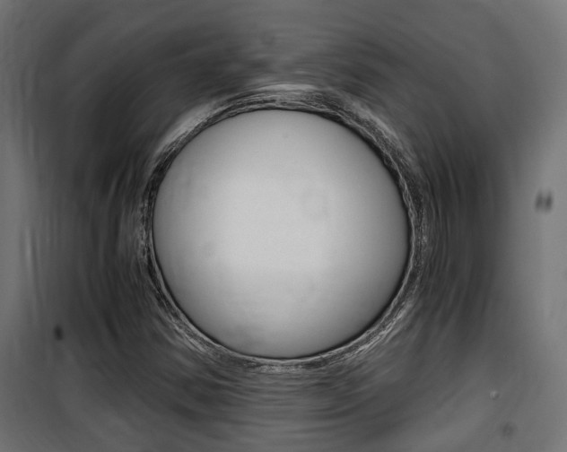 X0000100761354200806190859