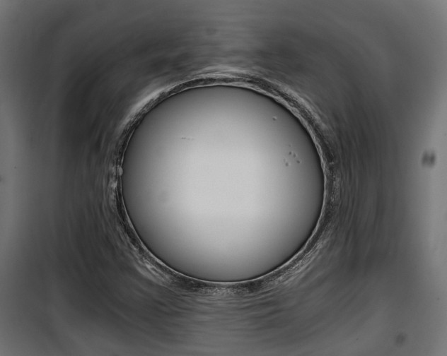 X0000100761355200806190859