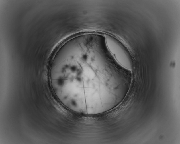 X0000100761356200806190859