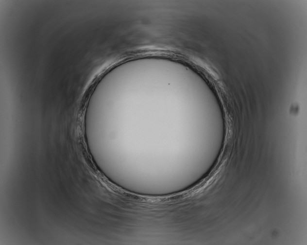 X0000100761357200806190859