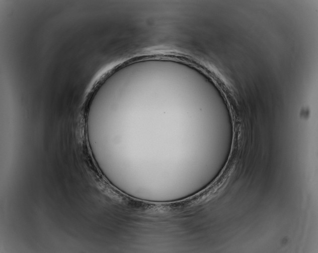 X0000100761358200806190859