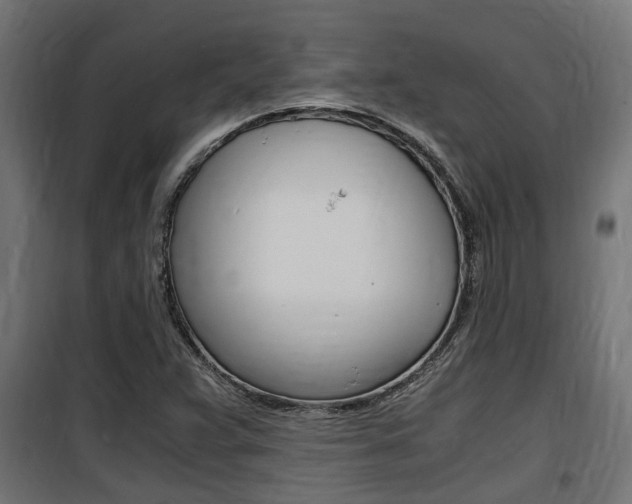 X0000100761359200806190859