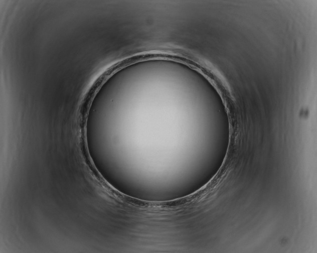 X0000100761360200806190859