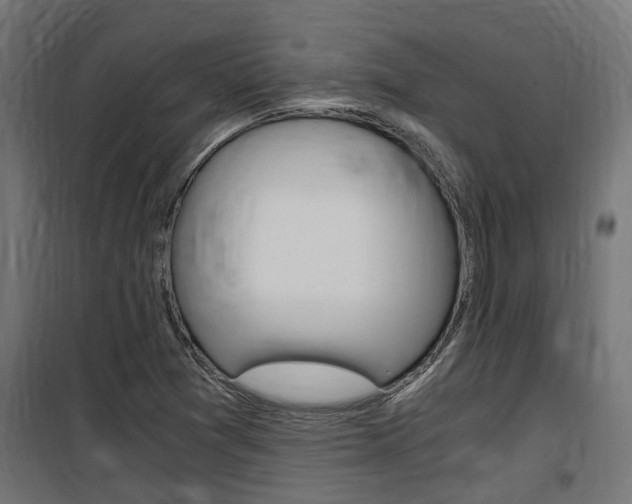 X0000100761361200806190859