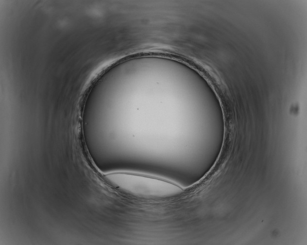 X0000100761363200806190859
