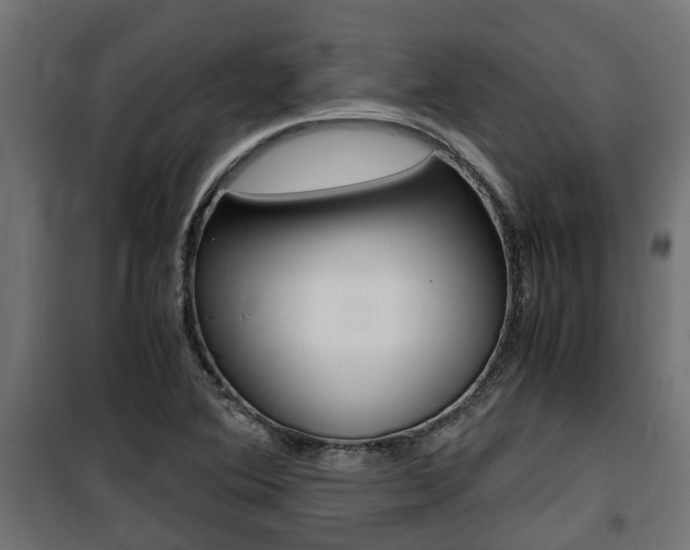 X0000100761364200806190859