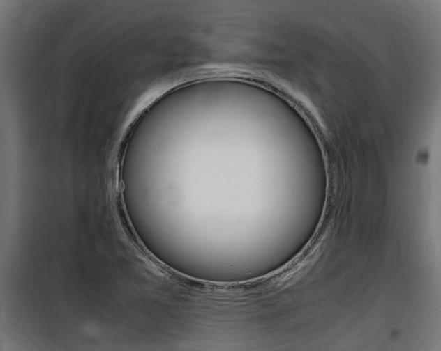 X0000100761365200806190859