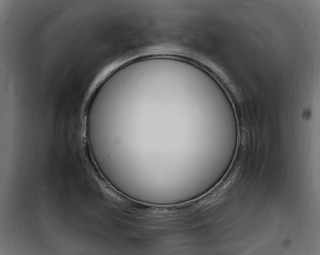 X0000100761366200806190859