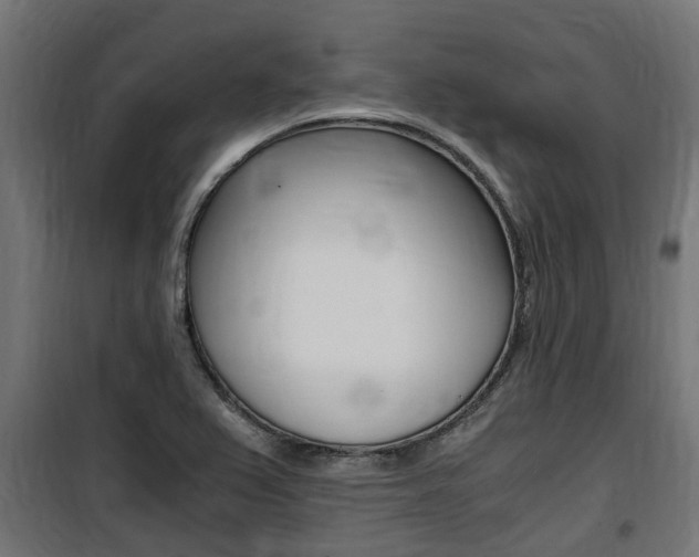 X0000100761367200806190859