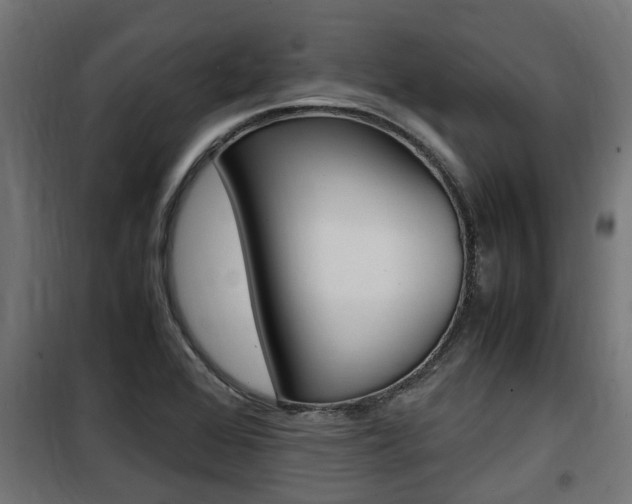 X0000100761368200806190859