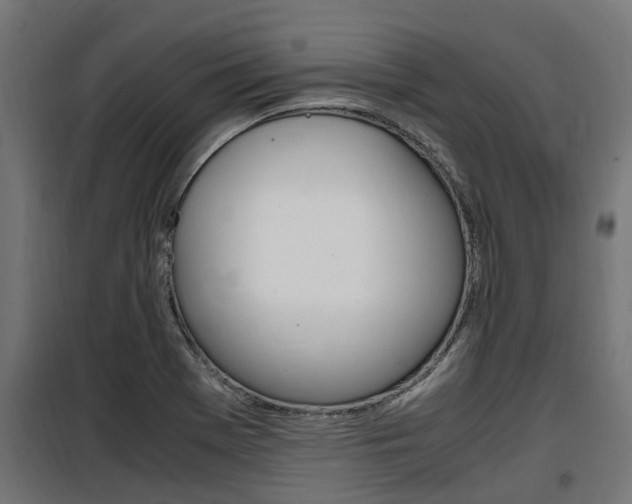 X0000100761369200806190859