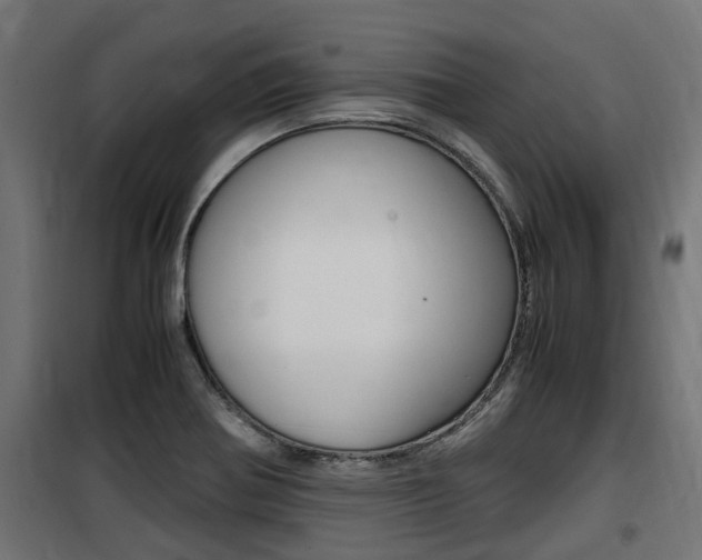X0000100761370200806190859