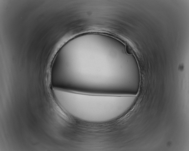 X0000100761371200806190859