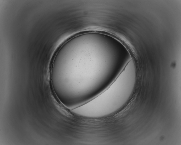 X0000100761372200806190859