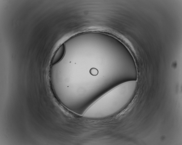 X0000100761373200806190859