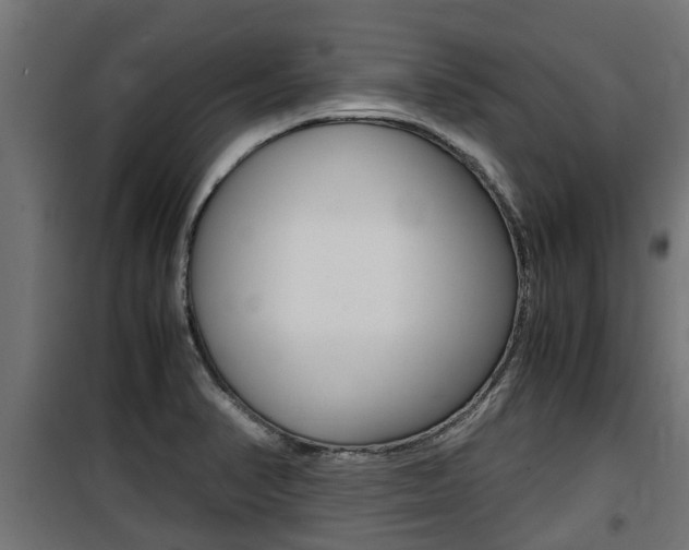 X0000100761374200806190859