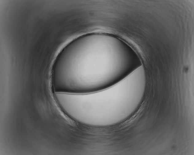 X0000100761375200806190859