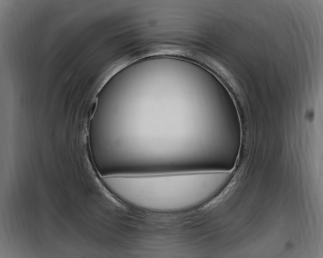 X0000100761377200806190859