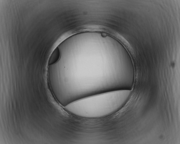 X0000100761378200806190859