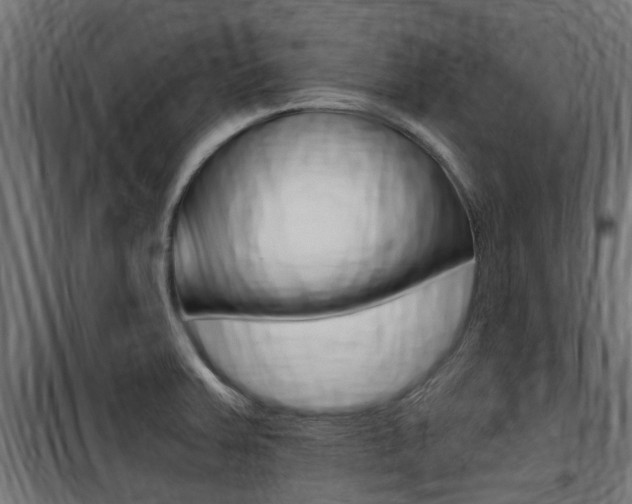 X0000100761379200806190859