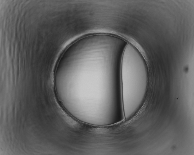 X0000100761380200806190859