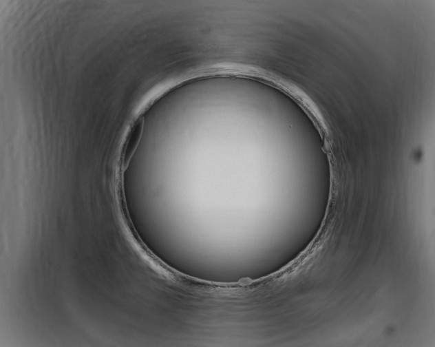 X0000100761381200806190859