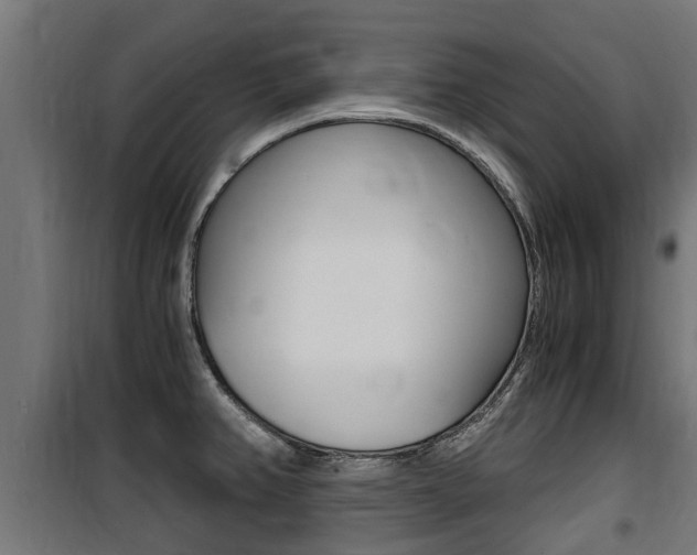 X0000100761382200806190859