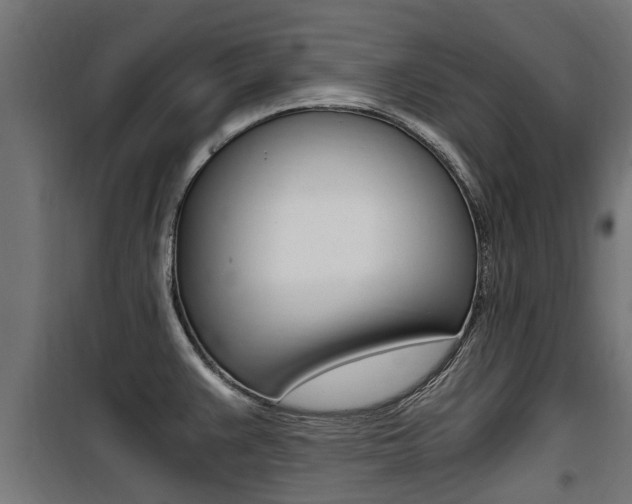 X0000100761383200806190859