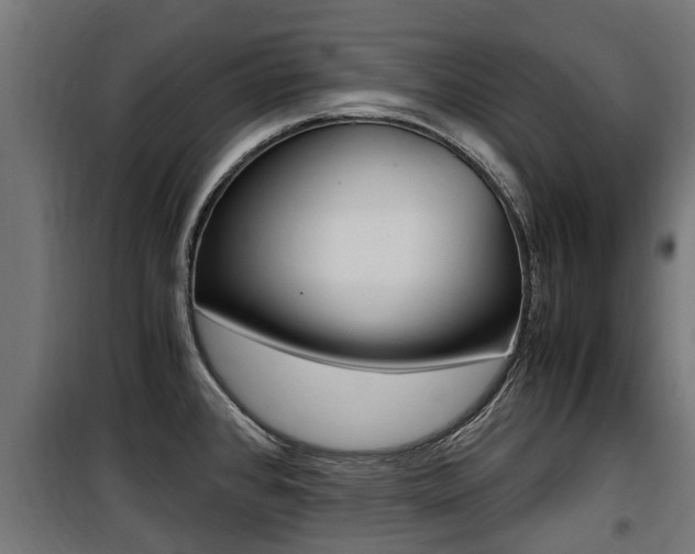 X0000100761384200806190859