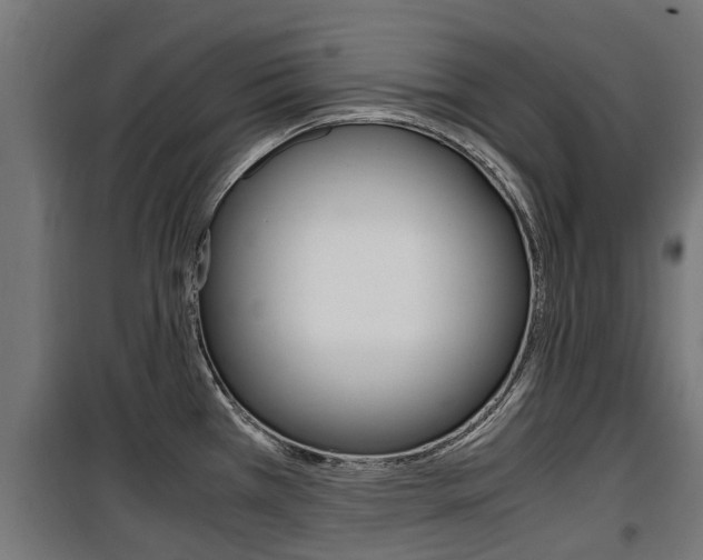 X0000100761385200806190859