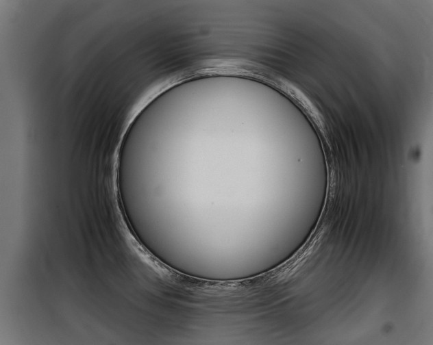 X0000100761386200806190859